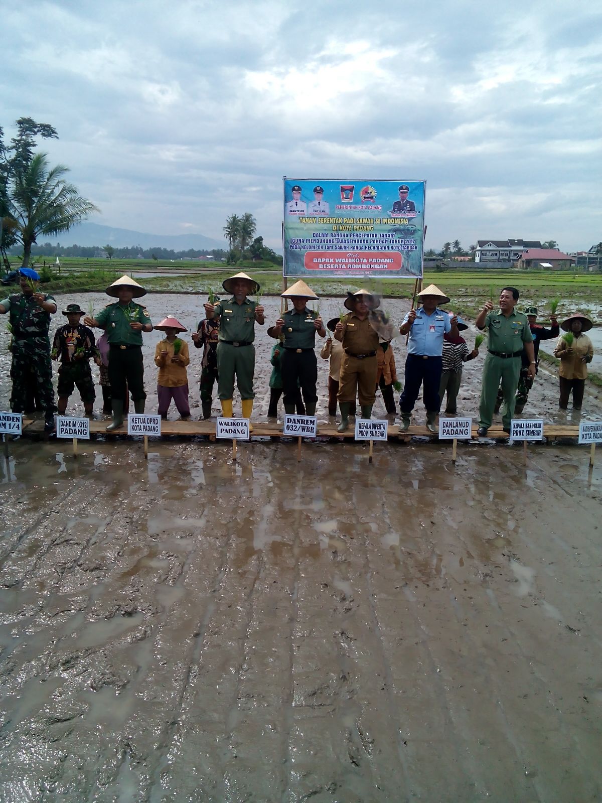 Tanam Padi Serentak Se Sumbar Tanam Padi Serentak Se Sumbar
