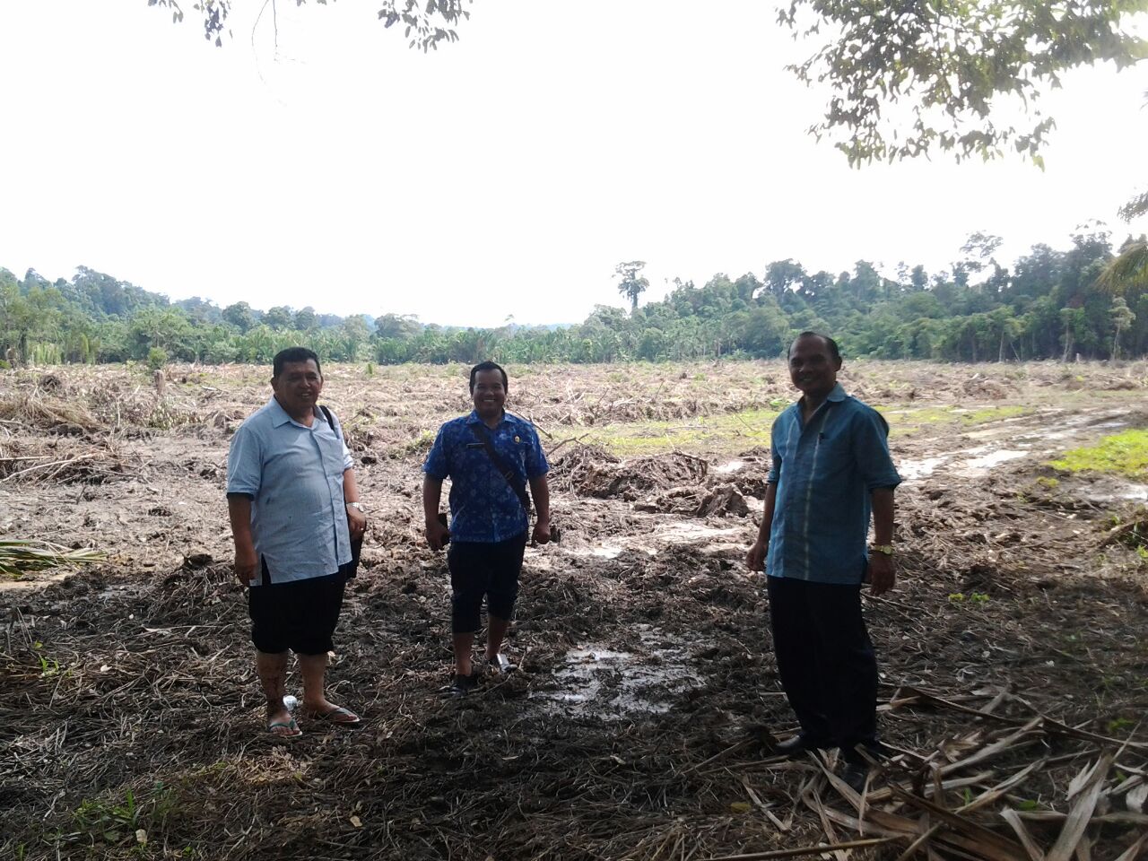Cetak Sawah di Kep. Metawai Cetak Sawah di Kep. Metawai