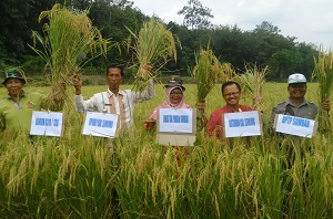 Farm Field Day Penangkar Farm Field Day Penangkar
