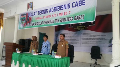 Diklat Teknis Agribisnis Cabe