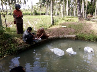 PENDISTRIBUSIAN PAKET BANTUAN PADA KEGIATAN PENGEMBANGAN IKAN NILA PADA KAWASAN SENTRA PRODUKSI TAHUN 2017 DI KAB. SOLOK