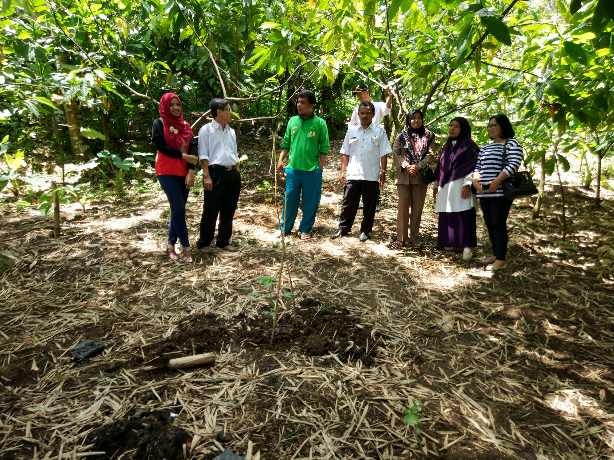 Monitoring dan Evaluasi ke Lokasi Nagari Mandiri Pangan