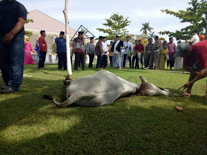 Daging Qurban Dari Gubernuran dibagikan ke masyarakat kurang mampu di Sumbar