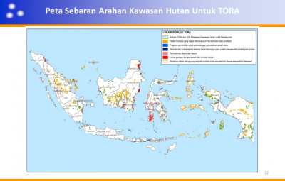 TORA YANG BERASAL DARI KAWASAN HUTAN