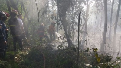 Monitoring dan pemantauan titik api oleh Dinas Kehutanan Sumbar