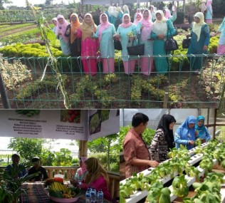 “ Hatinya PKK “, Menabur Keindahan , Menuai Kesejahteraan