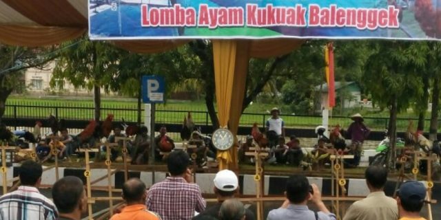 Meriahkan HPN, Disnak Sumbar Gelar Lomba 