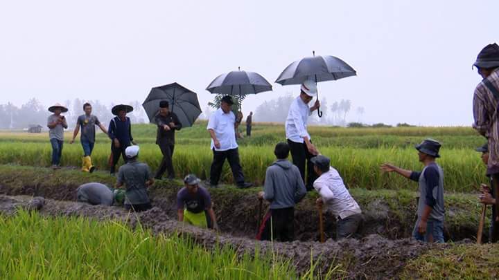 Presiden Jokowi Tinjau Pelaksanaan Padat Karya Tunai di Tanah Datar