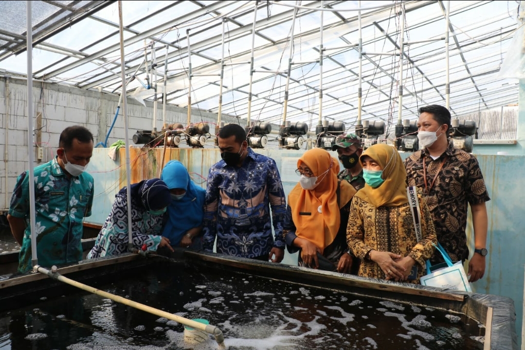 Bernilai Ekonomis Tinggi, Wagub Audy Ingin Budidaya Ikan Sidat Dikembangkan di Sumbar