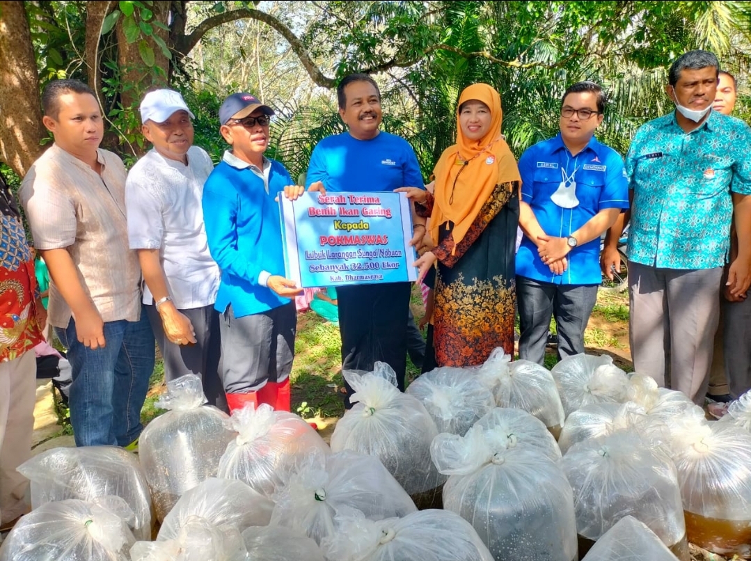 DKP Sumbar Restocking 32.500 Bibit Ikan Garing di Nagari Abai Siat Dharmasraya