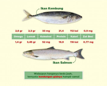 Mengapa pilih Salmon kalau Ikan Kembung Jauh lebih Baik?????