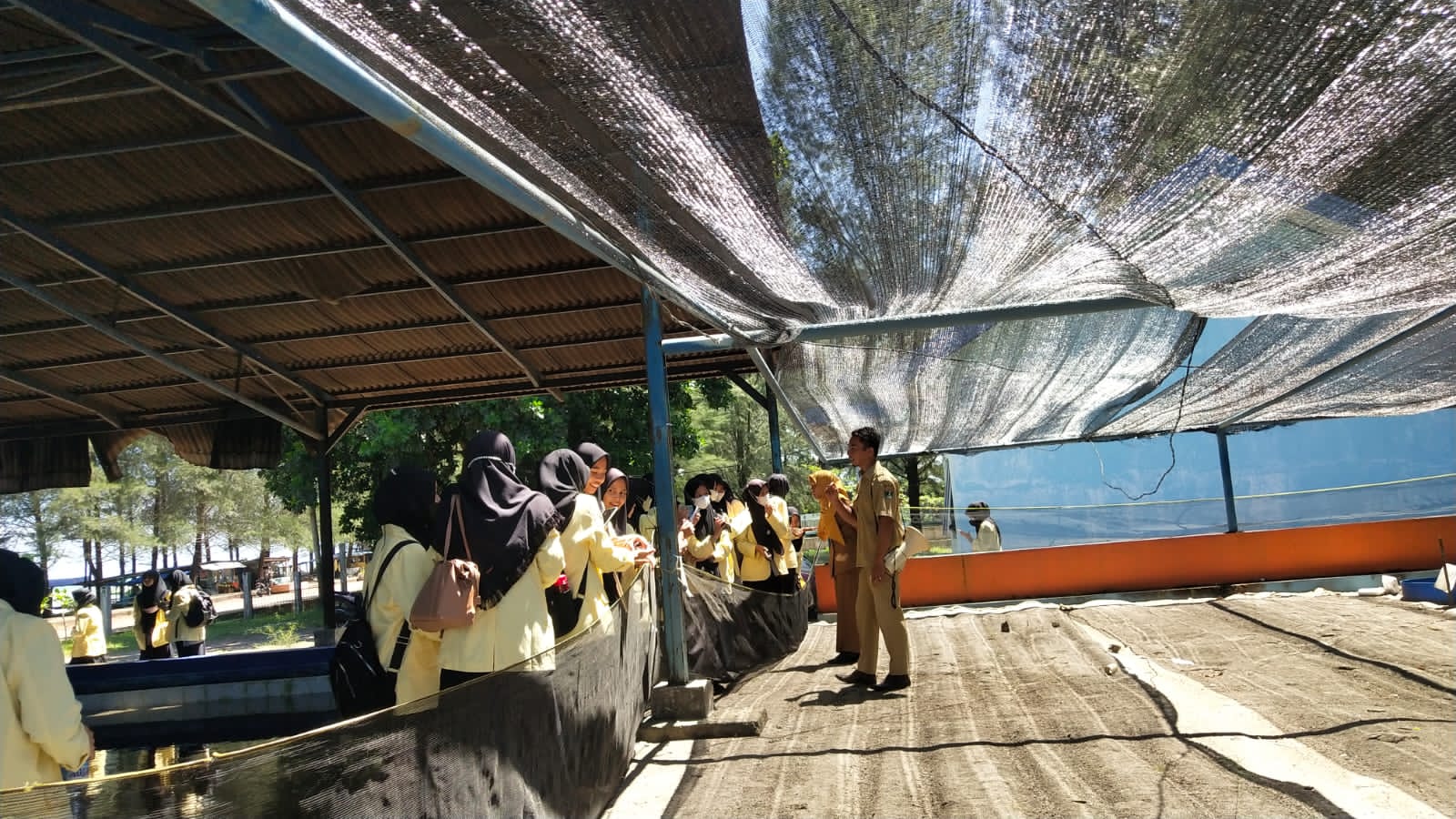 162 Mahasiswa UNP Ikuti Kuliah Lapangan Terpadu Di Konservasi Penyu Pariaman