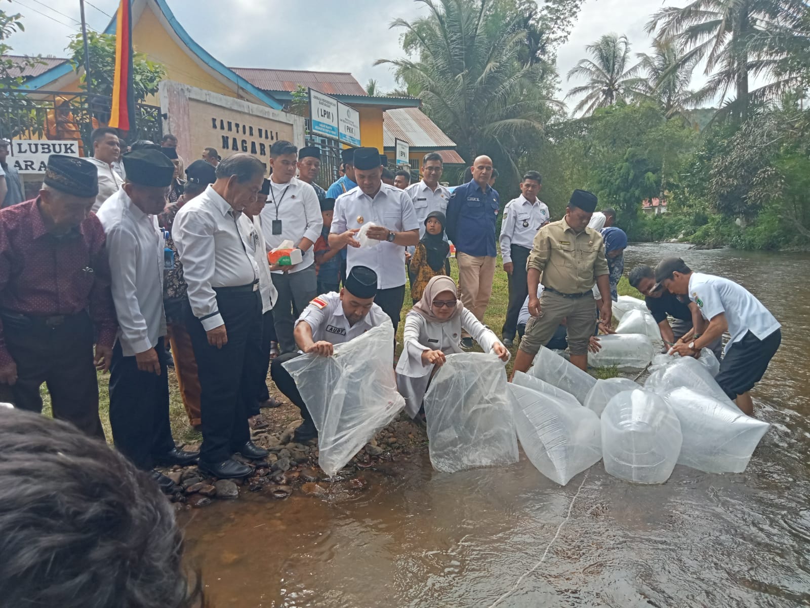 Kadis DKP Sumbar dampingi Wagub Restocking 17.000 Benih Ikan di Kab. Sijunjung