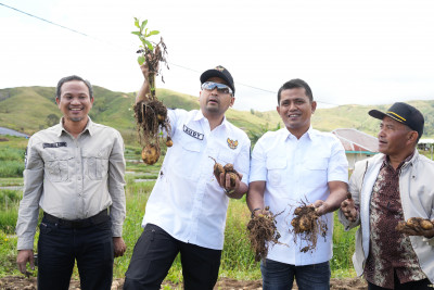 Wagub Sumbar Serahkan Dua Unit Alsintan dan Enam Ribu Benih Ikan pada Kelompok Tani Alahan Panjang