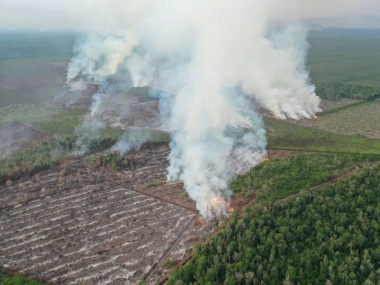 Karhutla di Pesisir Selatan Terkendali, Kadishut Sumbar: Tim Gabungan Berjibaku Padamkan Api 